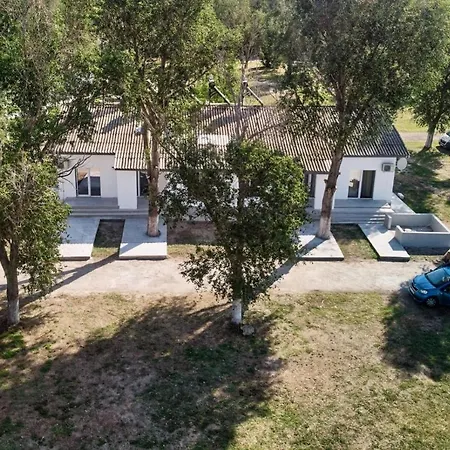 Casa Sincai Séjour chez l'habitant *